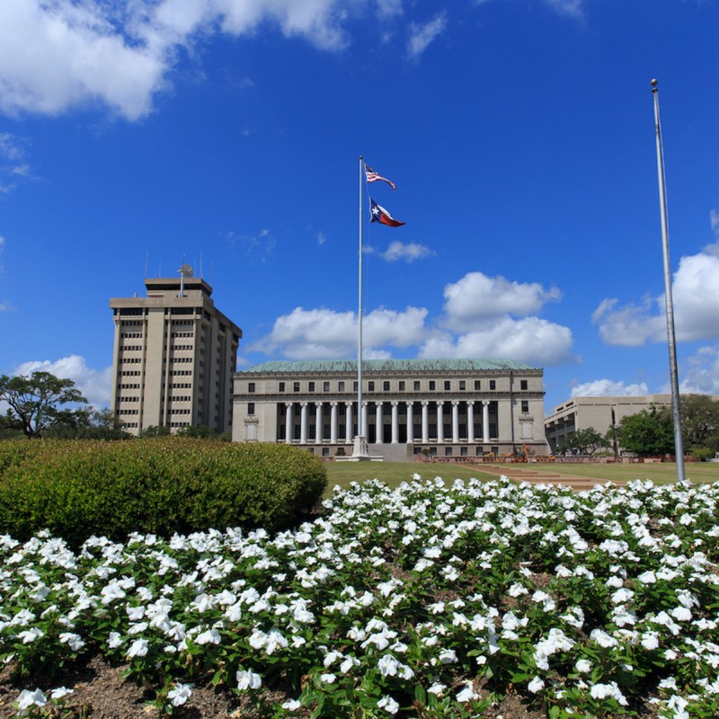 Flowers in front of the Jack K. Williams Systems Administration building at Texas A & M University in College Station, Texas.