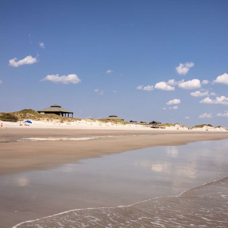 Bear Island Beach Hammocks Beach State Park shoreline.