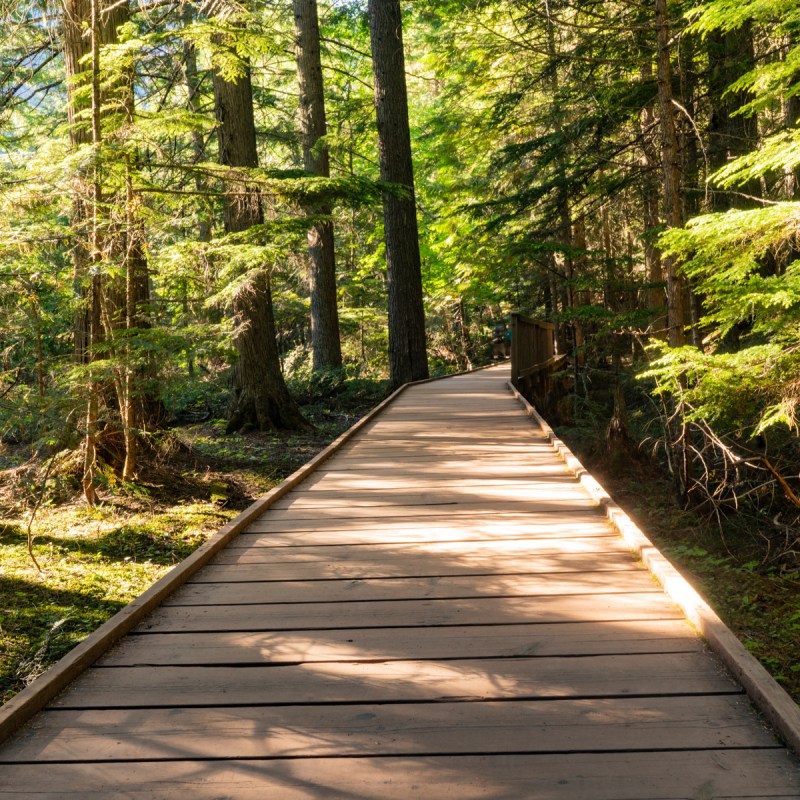 Trail of the Cedars Glacier National Park, Montana, USA