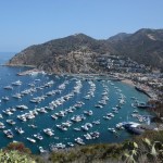 Catalina Island Harbor