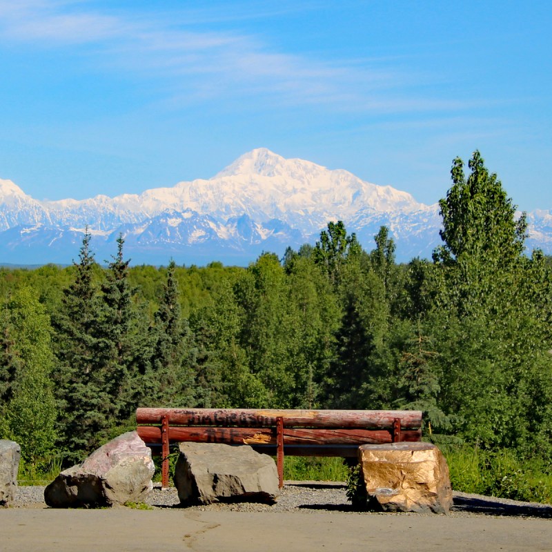 Denali Mountain view