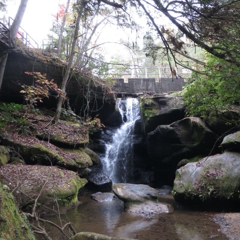 Rainbow Falls; Dismals Canyon, Alabama