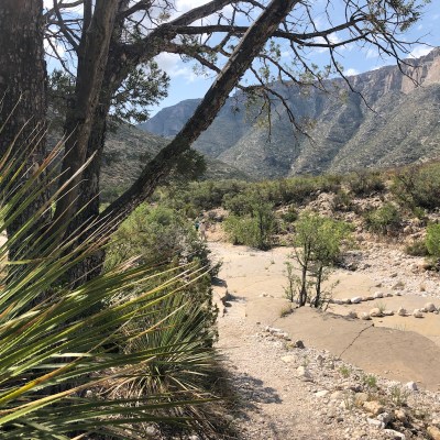 McKittrick Canyon in the Guadalupe Mountains