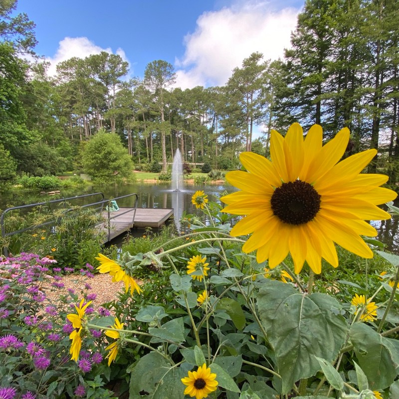 Cape Fear Botanical Gardens in Fayetteville, North Carolina.