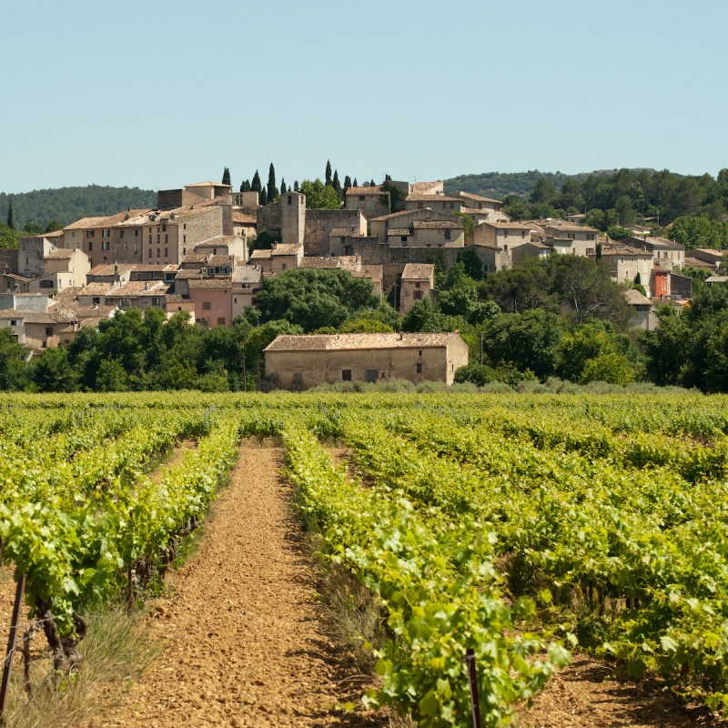 Carces, Provence, France vineyard