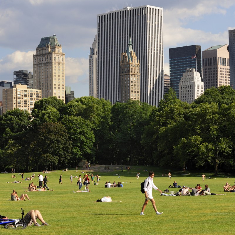 The Great Lawn in Central Park, New York City.