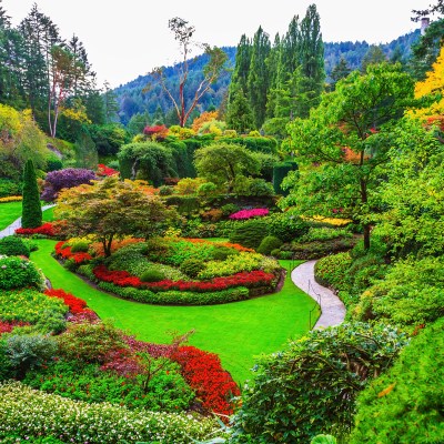 Butchart Gardens, gardens on Vancouver Island. Flower beds of colorful flowers and walking paths for tourists