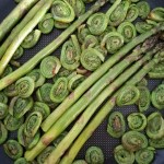 Fried asparagus and fiddleheads on a frying pan close up