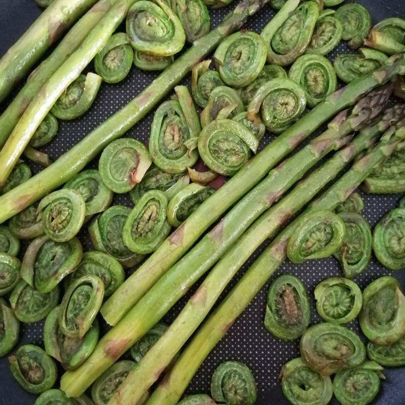 Fried asparagus and fiddleheads on a frying pan close up
