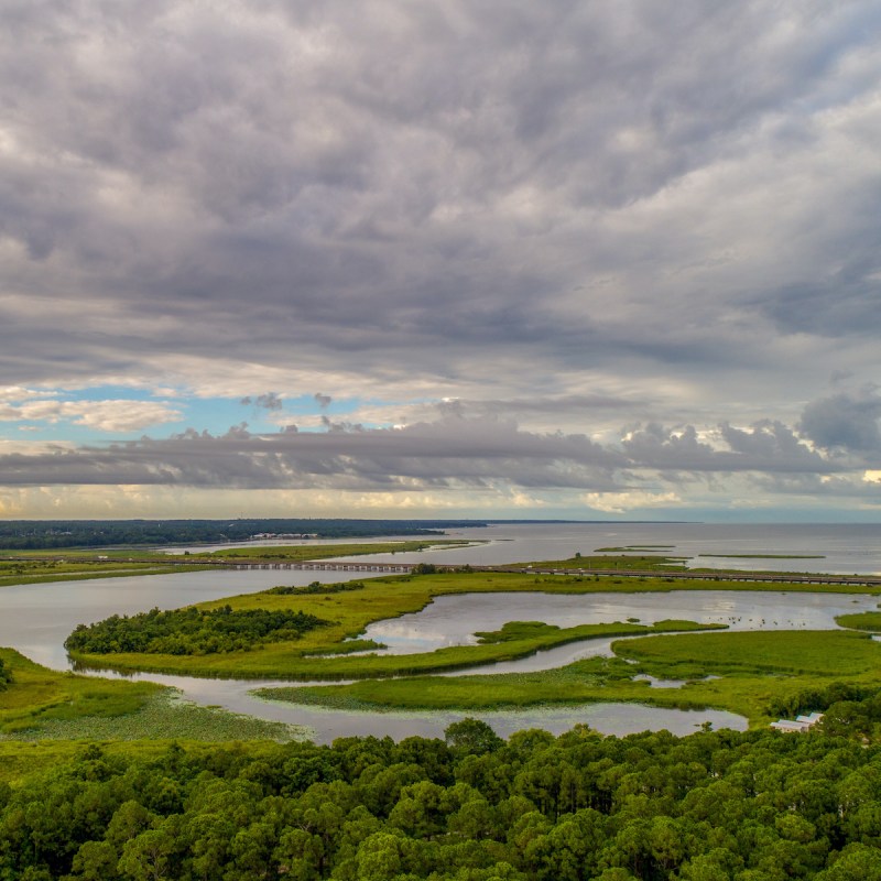 Mobile-Tensaw River Delta