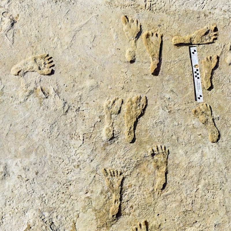 Some of the fossilized footprints at White Sands National Park.