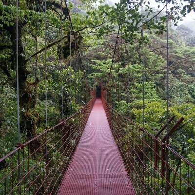 Bridge in Monteverde, Costa Rica