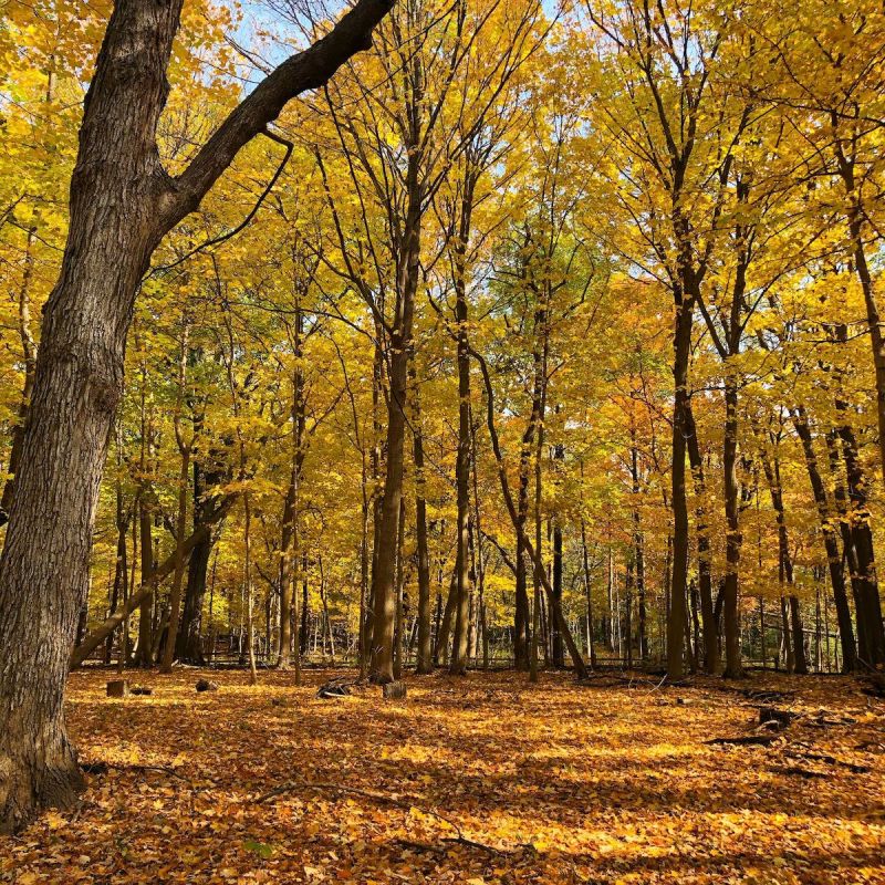 River Trail Nature Center