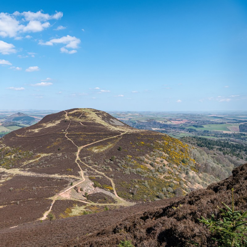 Scottish hillside