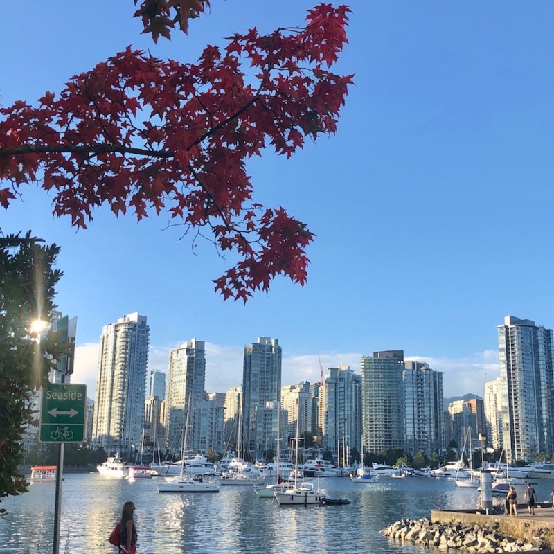 Vancouver skyline - Seaside paths