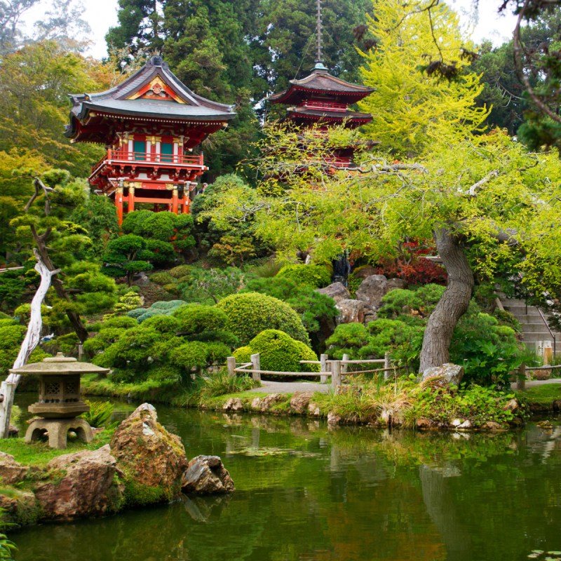 Japanese Tea Garden at Golden Gate Park