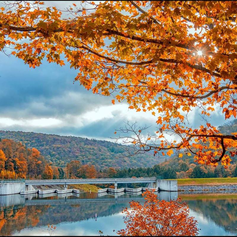 The Lyman Run at the state park of the same name, located between Coudersport and Galeton, Pennsylvania.