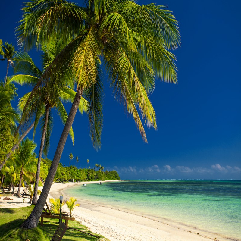 Palm trees and a white sandy beach at Fiji Islands