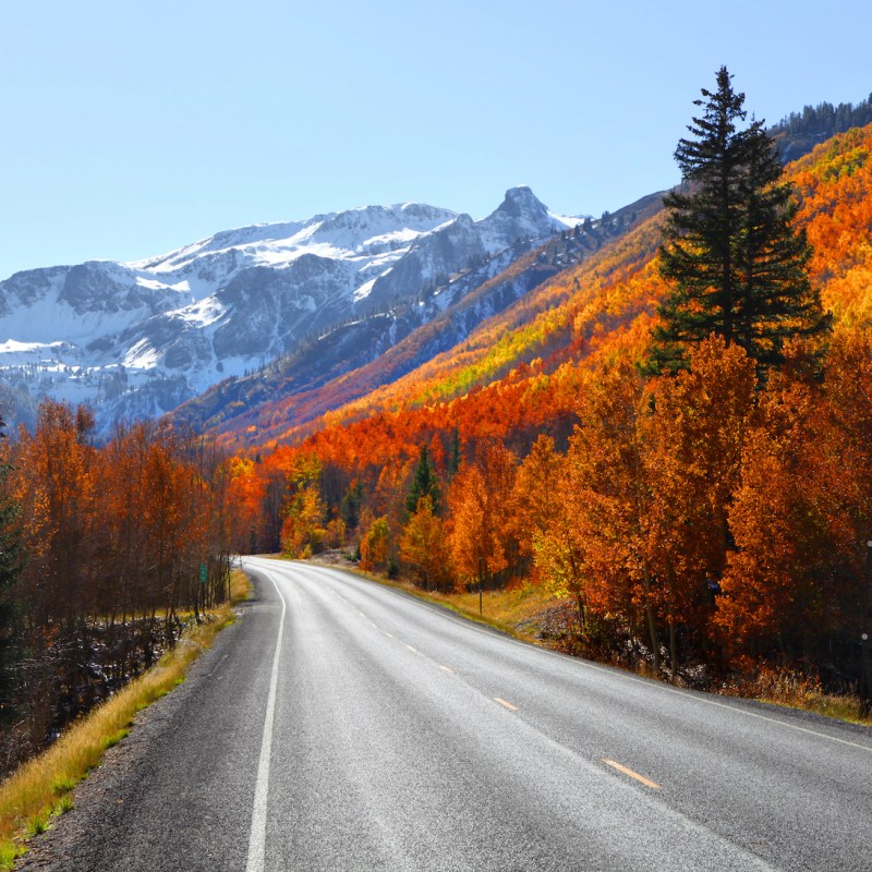 Fall foliage along the Million Dollar Highway near Silverton, CO