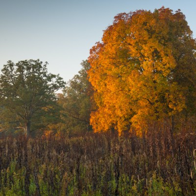 Battelle Darby Creek Metro Park in Galloway, Ohio, near Columbus.