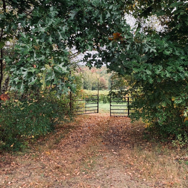 Broken Creek Vineyard Arbor