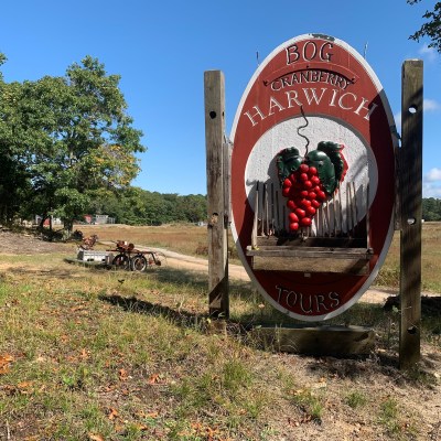 Cranberry Bog Tours.