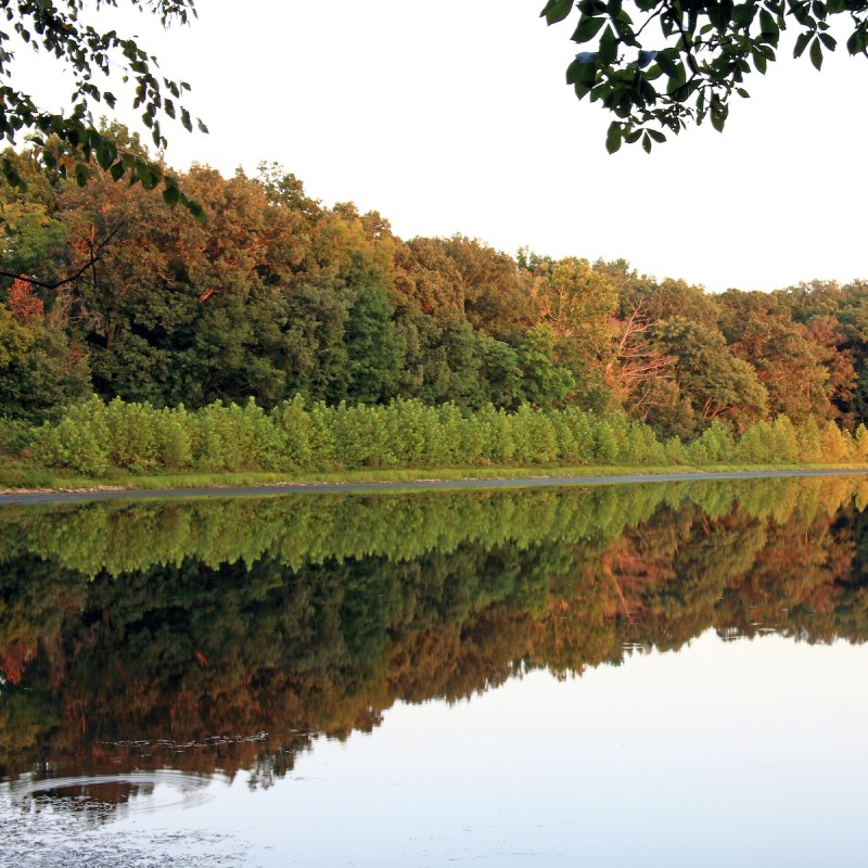 Land Between the Lakes National Recreation Area