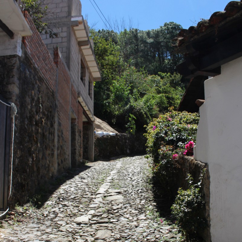 A cobblestone walkway in San Sebastian al Oeste, Puerto Vallarta, Mexico