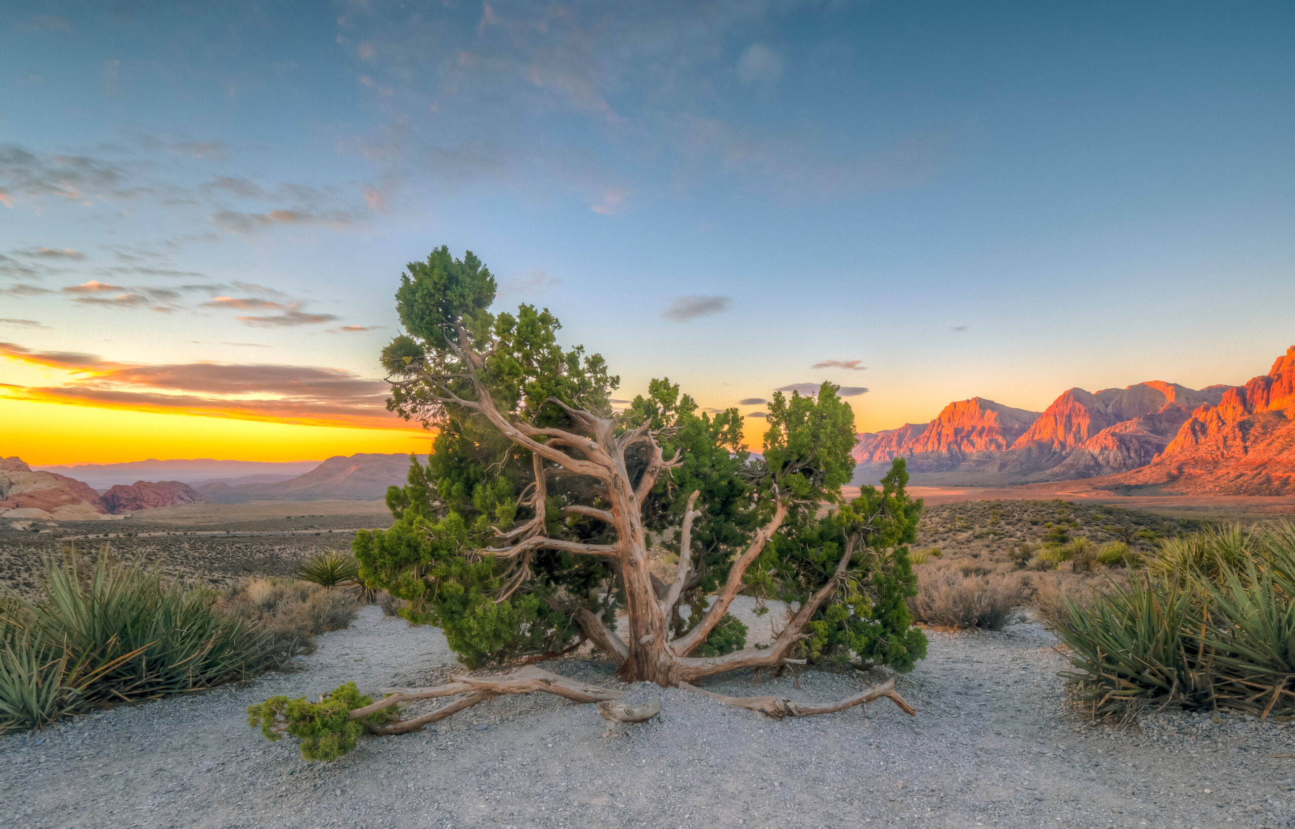 Red Rock Canyon National Conservation Area In Nevada
