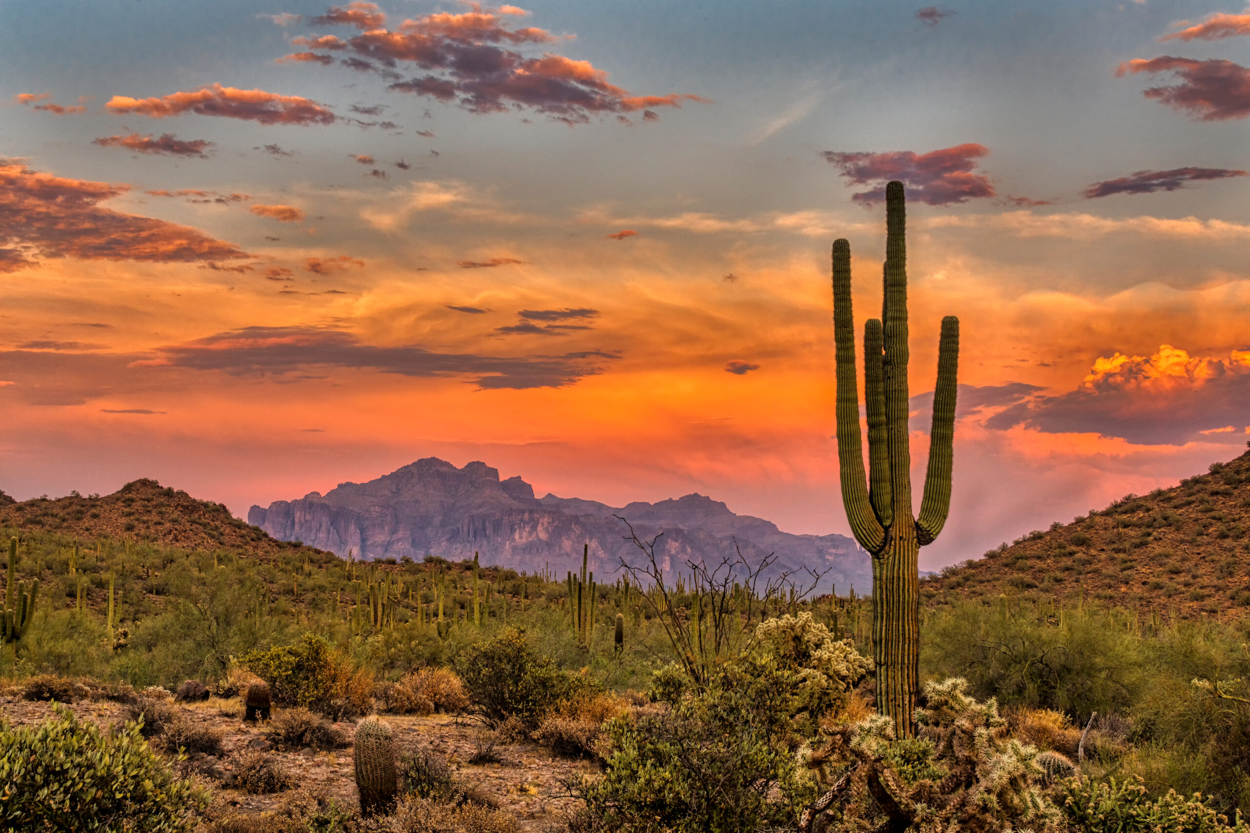 Sunset In The Sonoran Desert Near Phoenix, Arizona