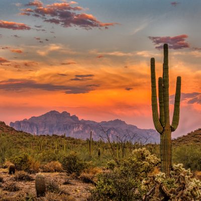 Sunset In The Sonoran Desert Near Phoenix, Arizona