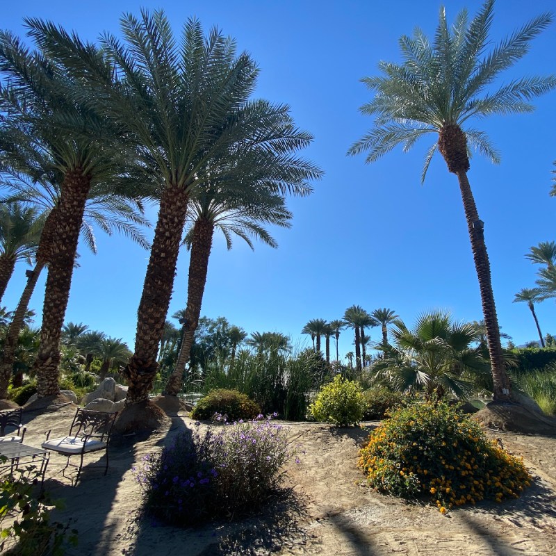 7 Fabulous Day Trips From Palm Springs