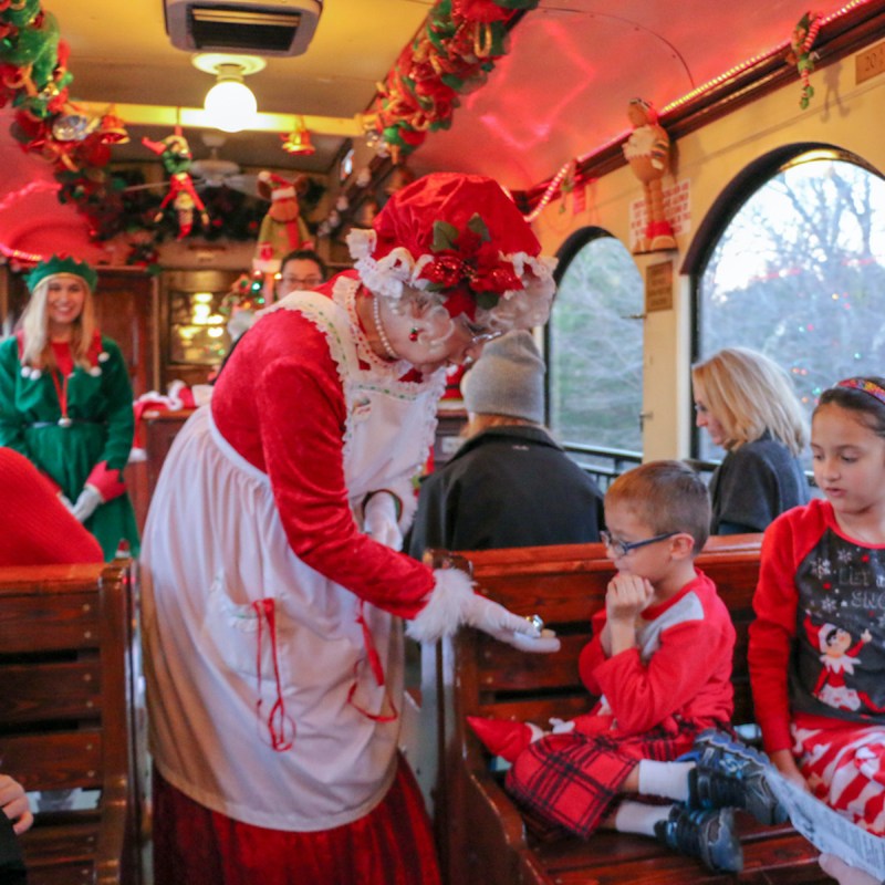 Mrs Claus on the North Pole ExpressMrs Claus on the North Pole Express
