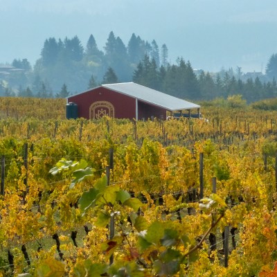 Oregon Wine Country