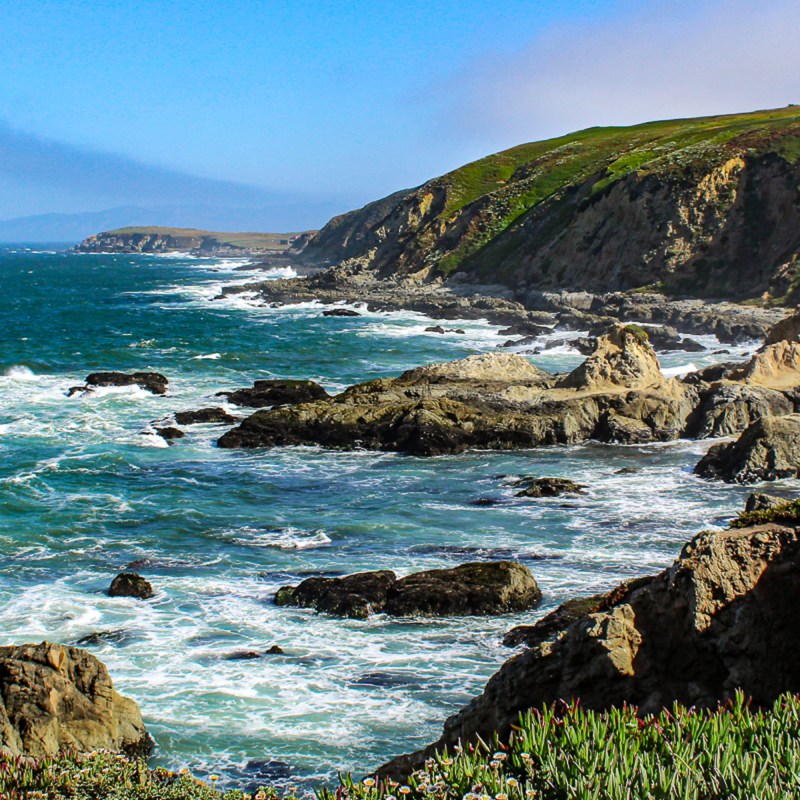 Bodega Head, a stretch of rocky coast that protects the town of Bodega Bay.