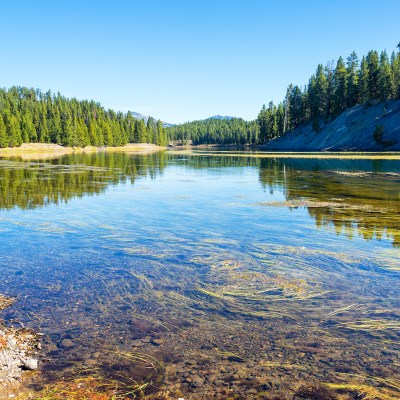 Yellowstone National Park on a clear day
