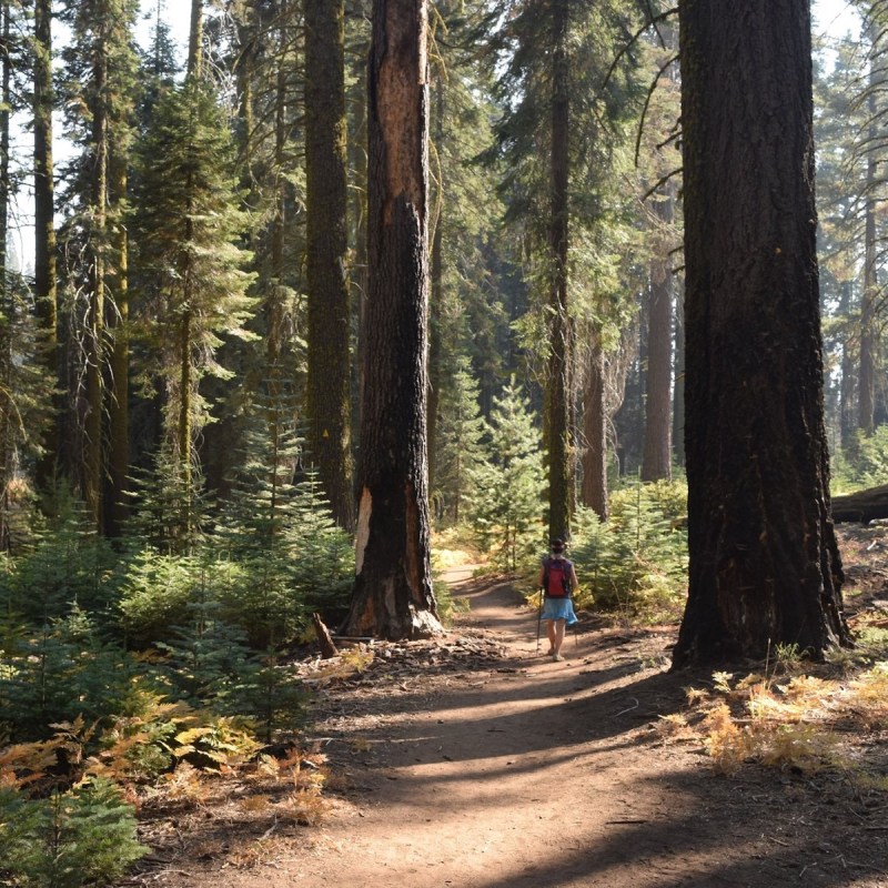 Hiking in Sequoia National Park.
