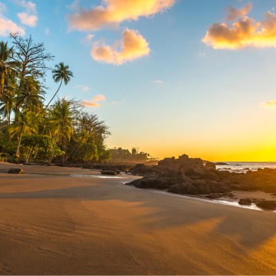 Tropical sunset along the Pacific Coast of Costa Rica with palm tree silhouettes inside Corcovado National Park in the Osa Peninsula.