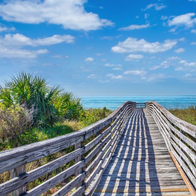 Wooden footpath to the beach surrounded by palm trees. Honeymoon Island