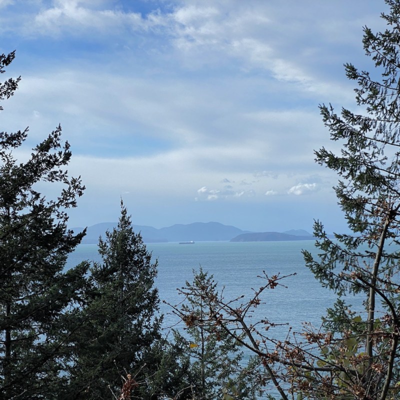 Chuckanut Drive Views