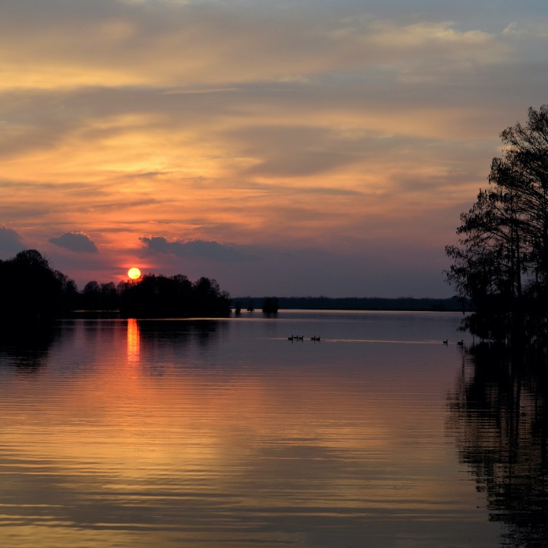 Lake Blackshear, Georgia