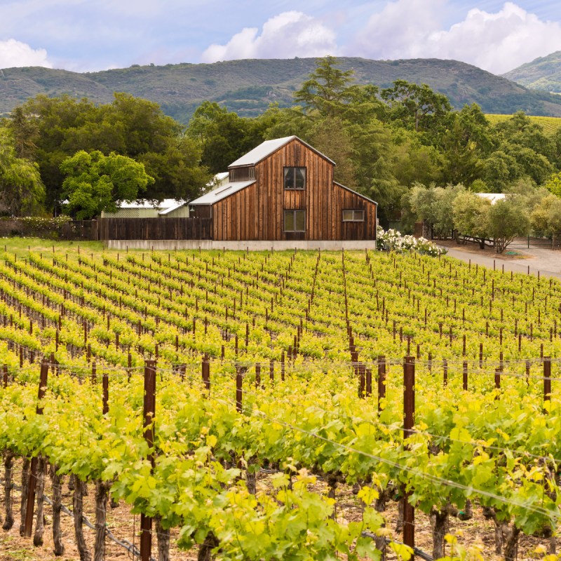 Barn and vineyard in Napa Valley