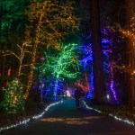 Christmas Festival of Lights at the Grotto
