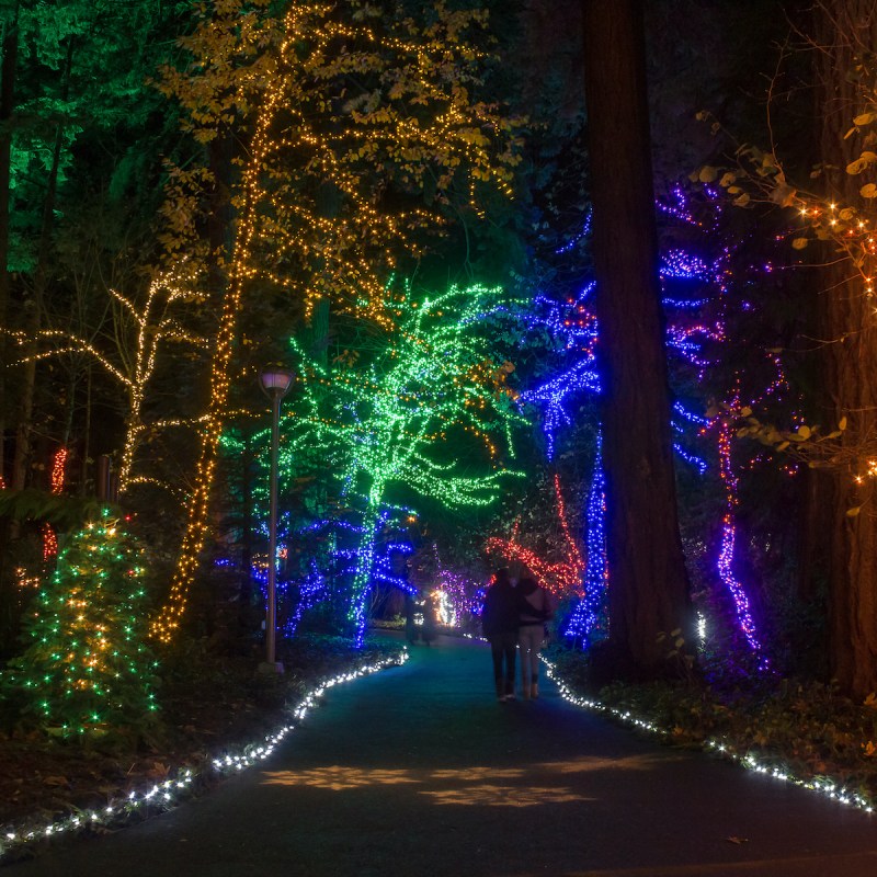 Christmas Festival of Lights at the Grotto