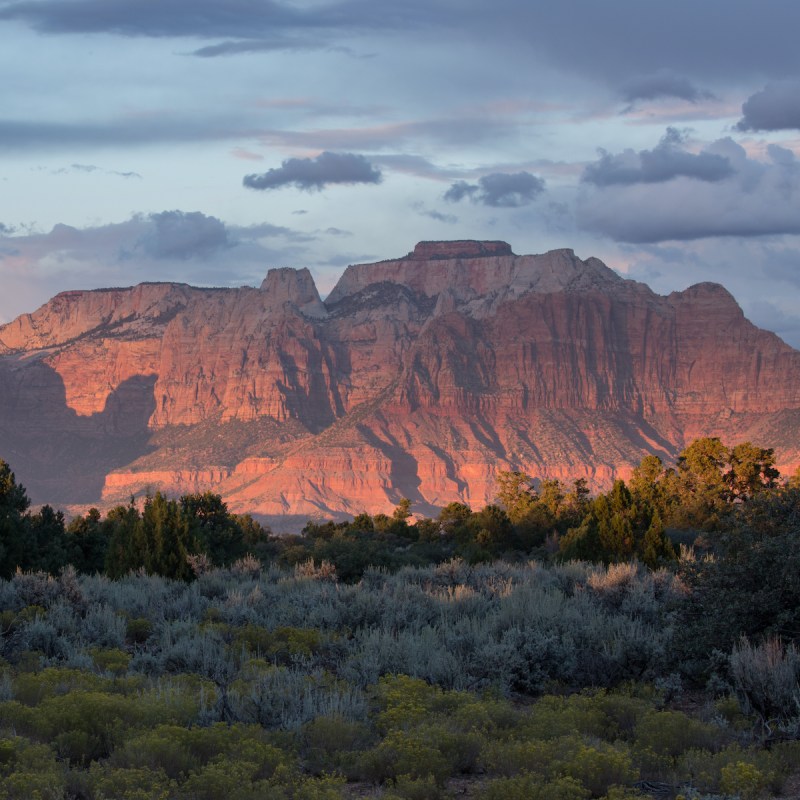 West Temple in Zion National Park