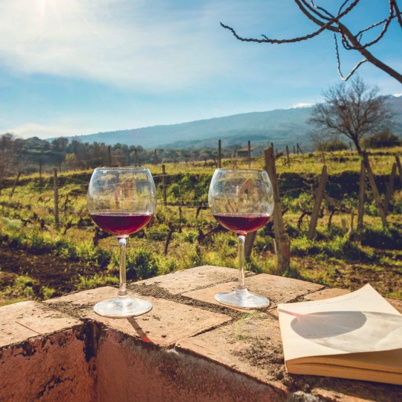 Two glasses of wine and book in the vineyards at the foot of the Etna volcano