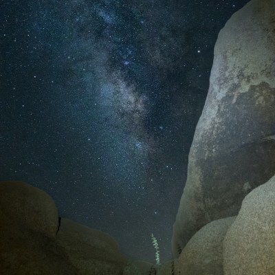 Boulders and Milky Way Galaxy with branch highlighted center foreground.