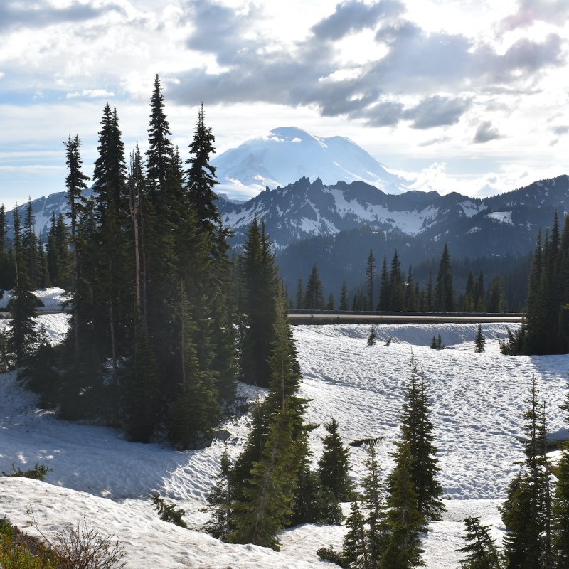 Mount Rainier