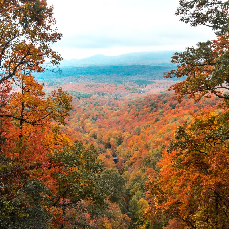 Amicalola Falls State Park