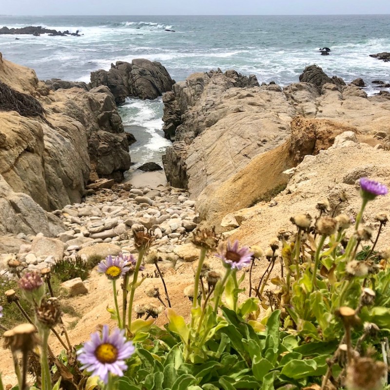 Asilomar State Beach